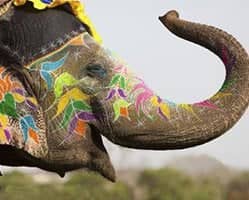 Slider image (10) Manipal Vattikuti Institute Of Robotic Surgery